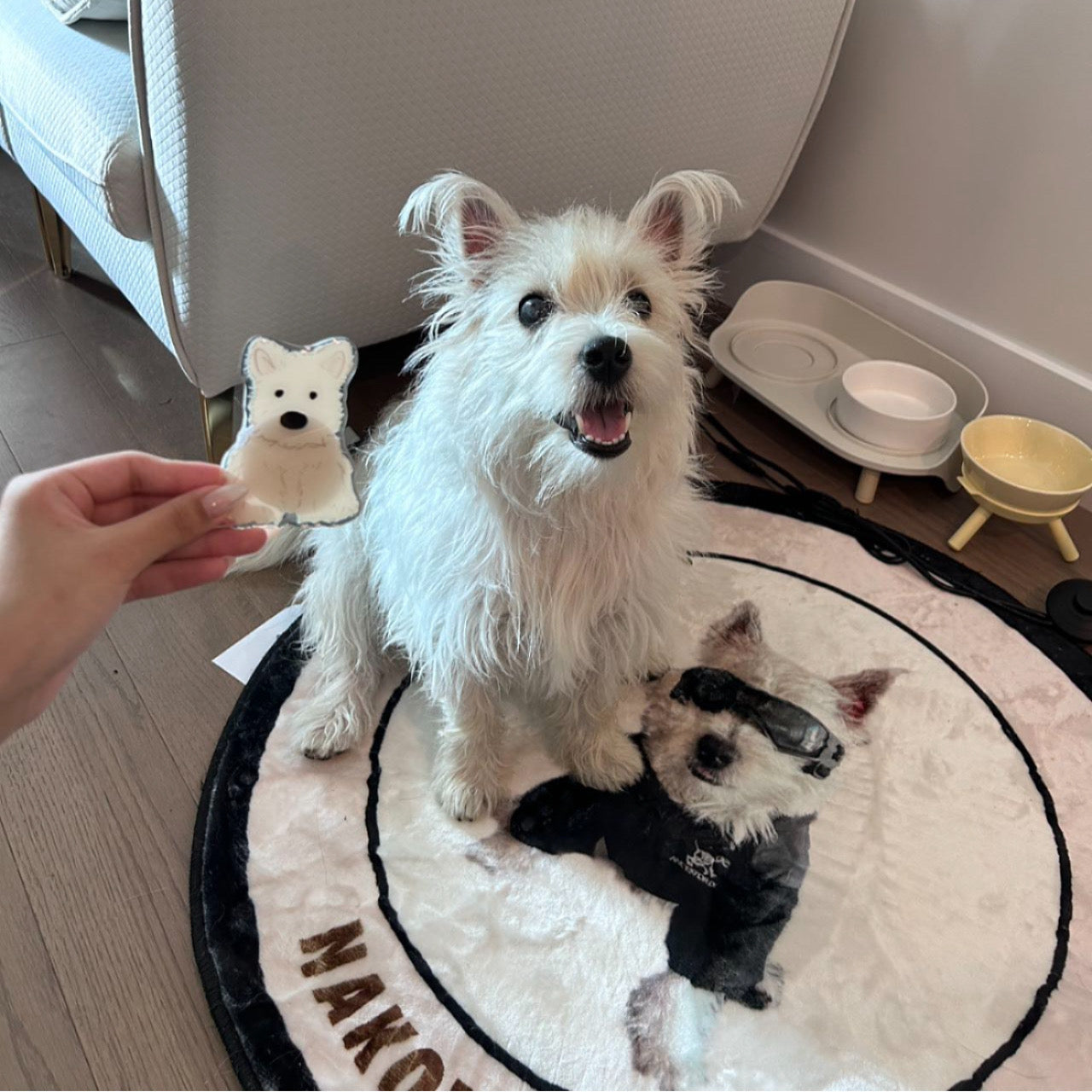 Customize Pet Pop-Socket