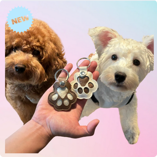 Two dogs looking at furever-paw-shaped charms held by a hand against a pink background.
