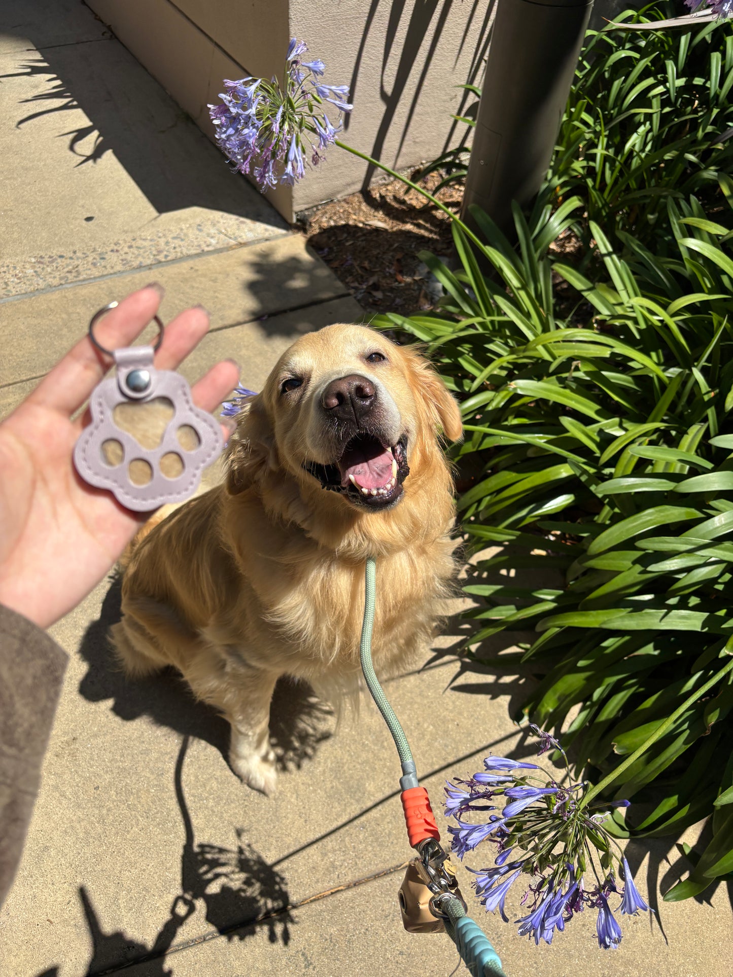 Fur-ever Paw Charm