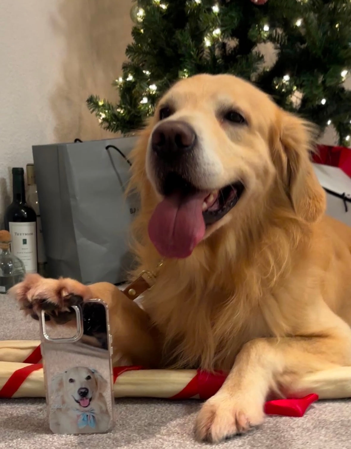 Customize Reflective Mirror Pet Phone Case