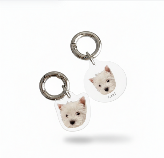 Custom Pet Collar ID Tag