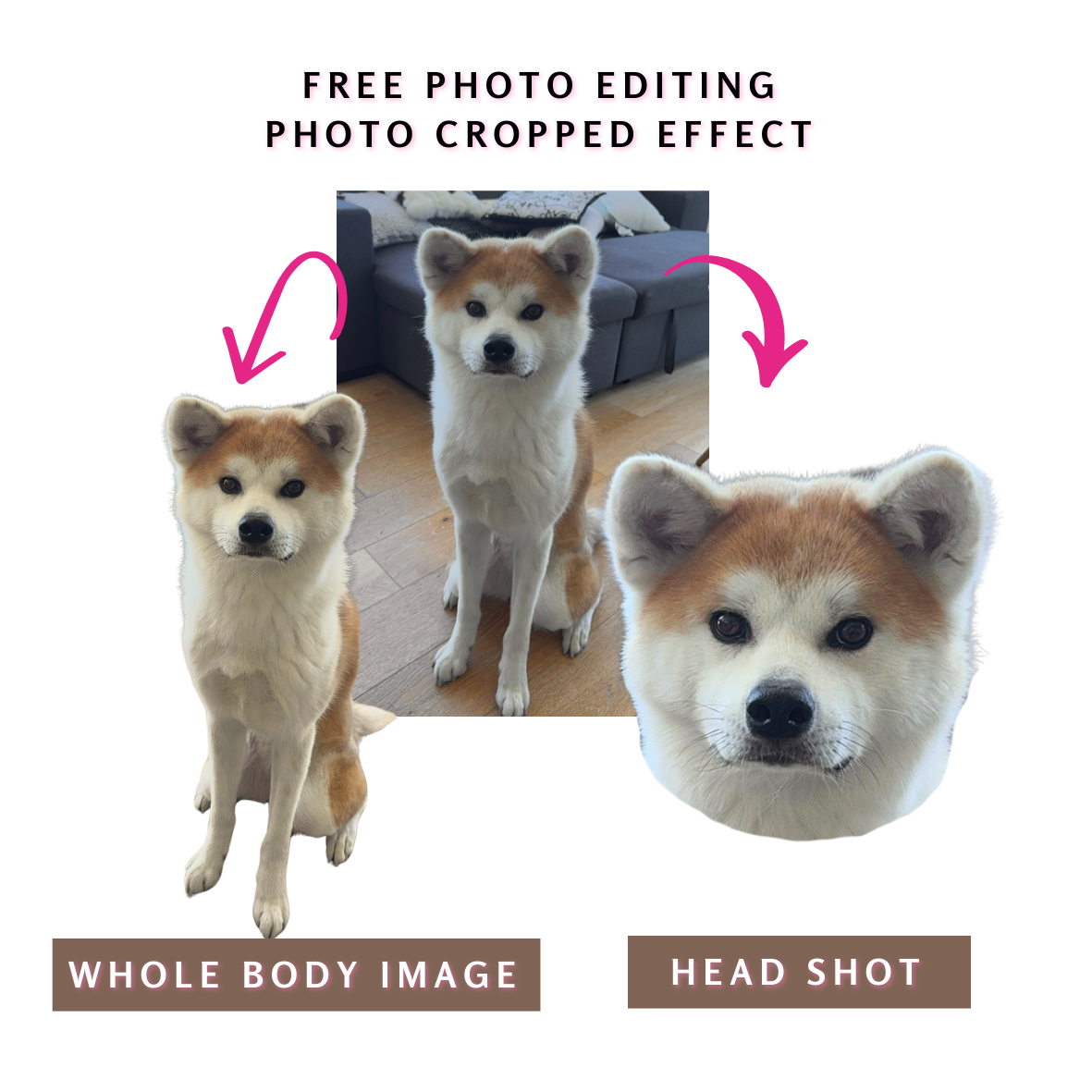 Customized pet acrylic key chain instruction