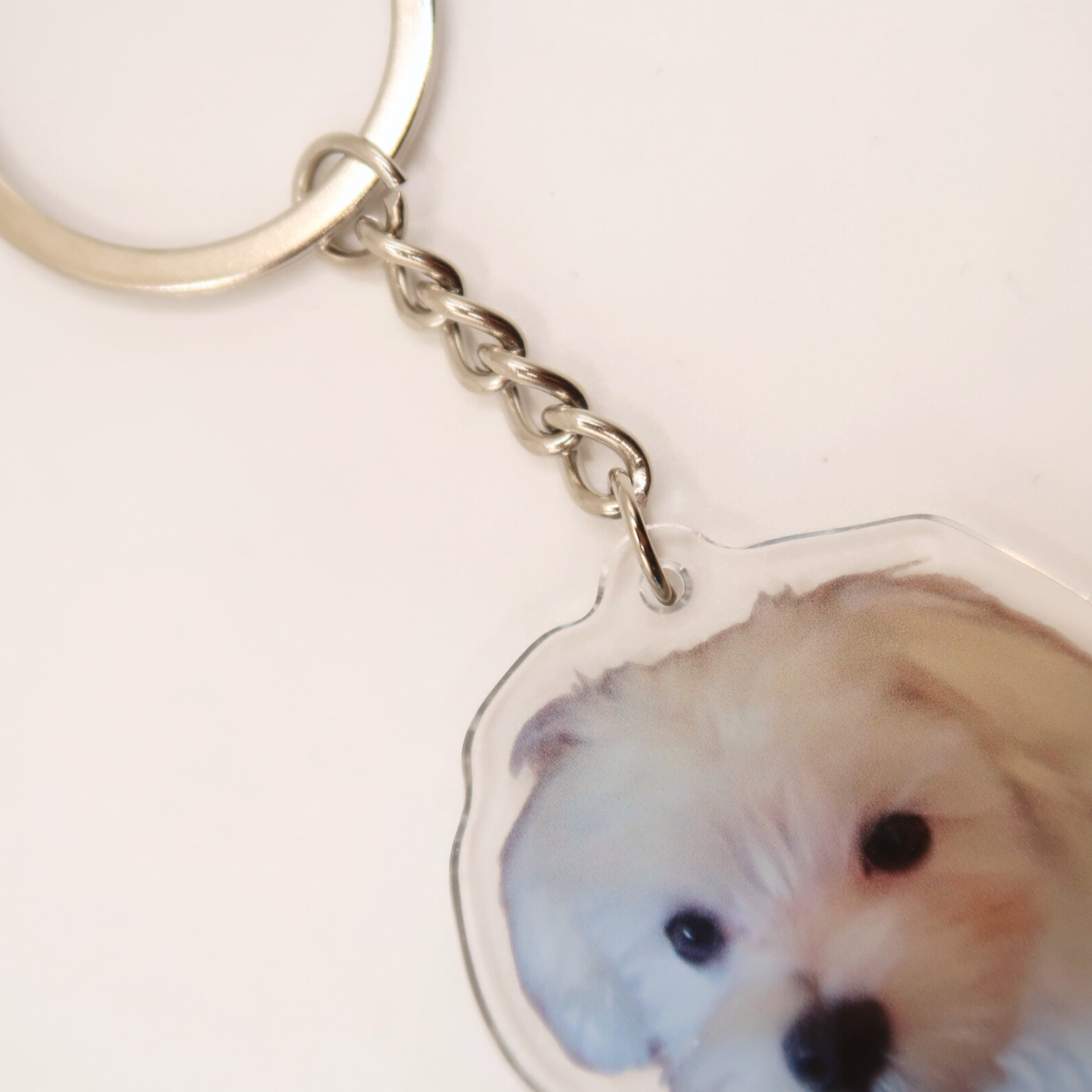 Customize Pet KeyChain