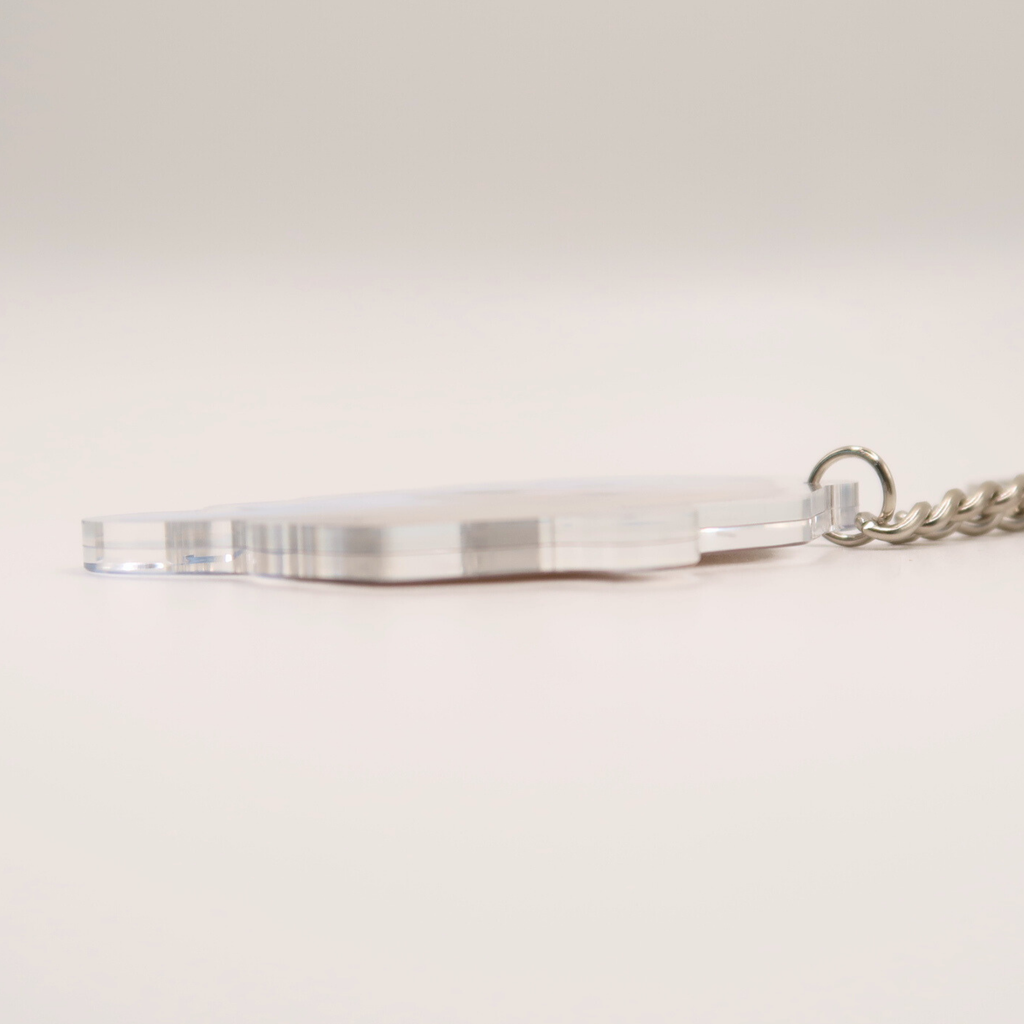 Customize Pet KeyChain