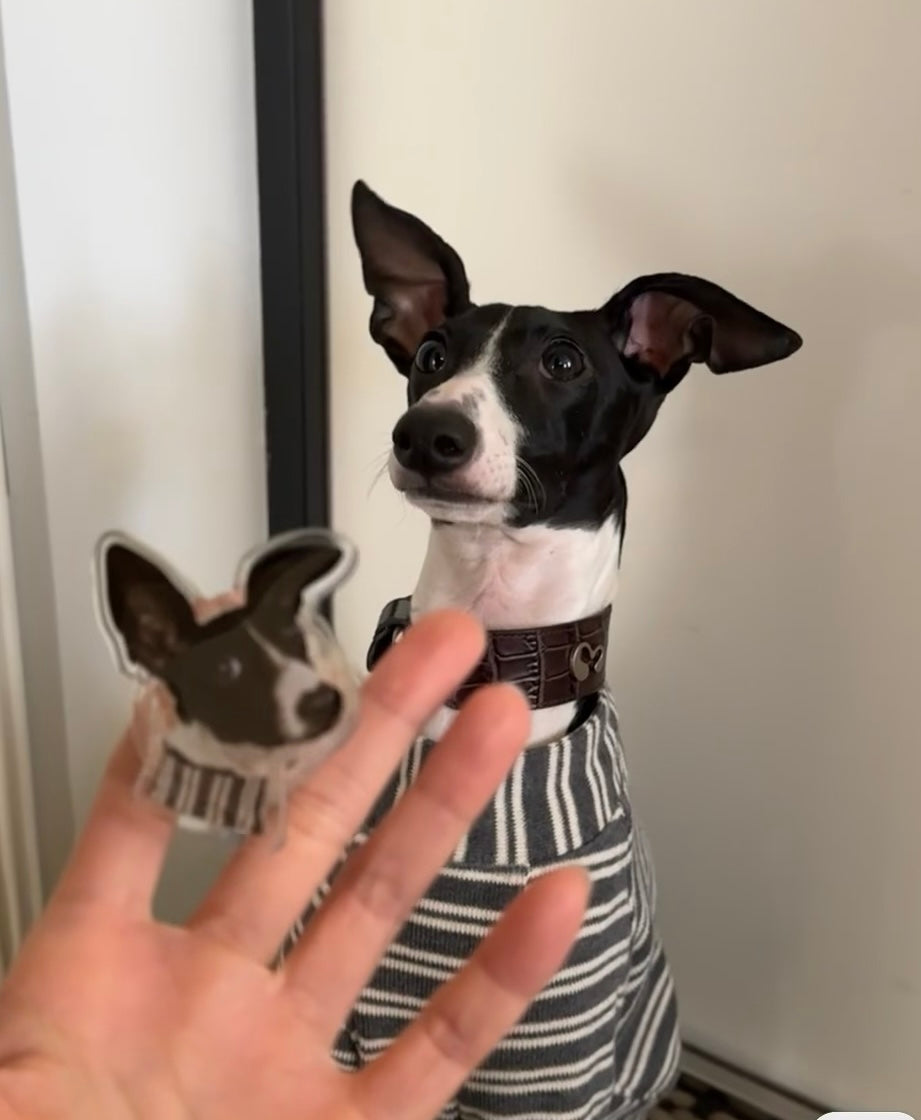 Customize Pet Pop-Socket