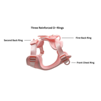 The Bowtique Harness