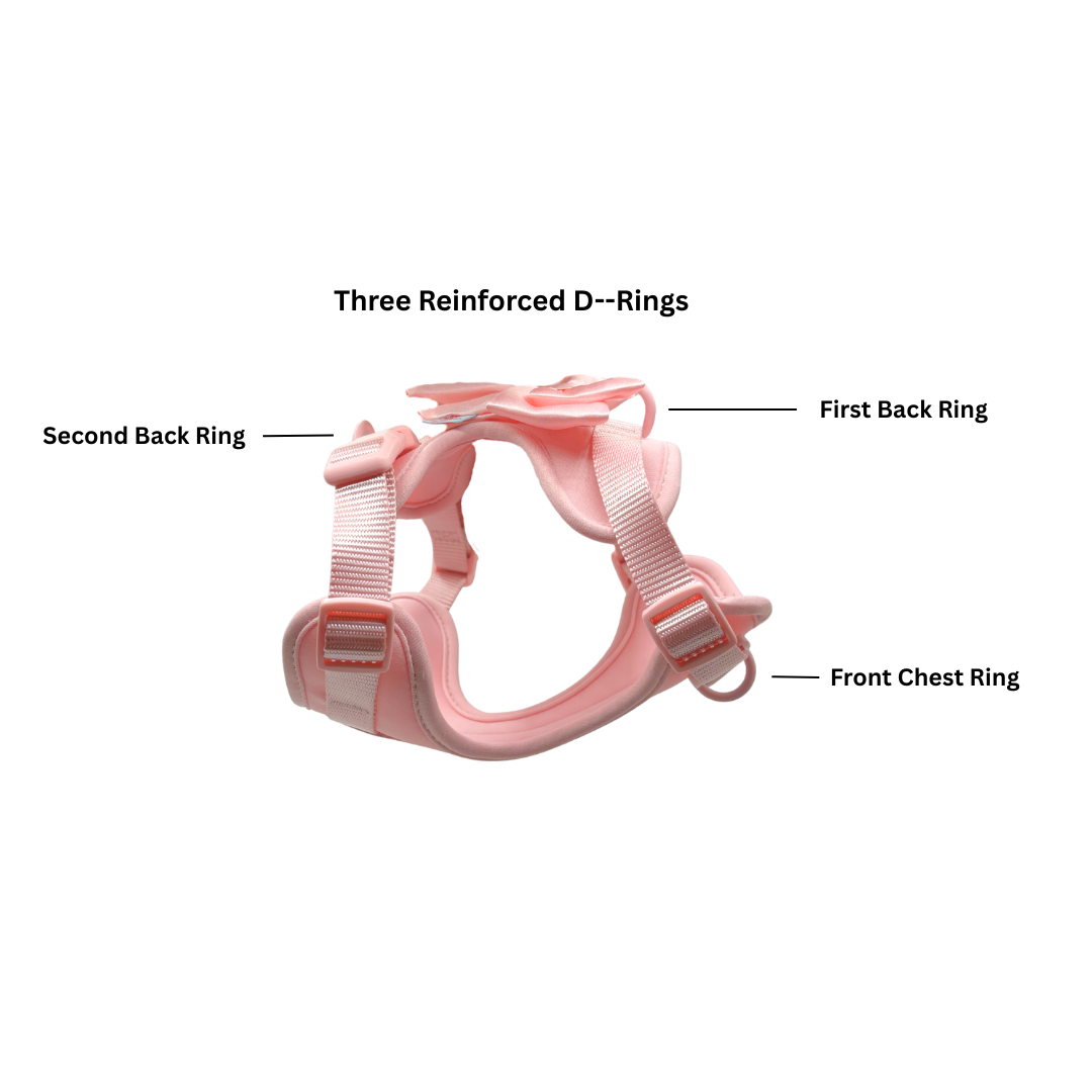 The Bowtique Harness