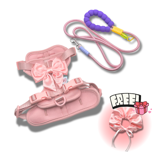 The Bowtique Harness Set [Free Matching Hooman Scrunchy]