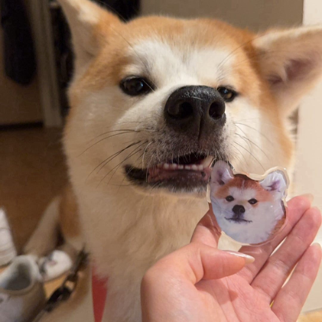 Customize Pet Pop-Socket