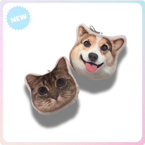 Pillow Love Charm
