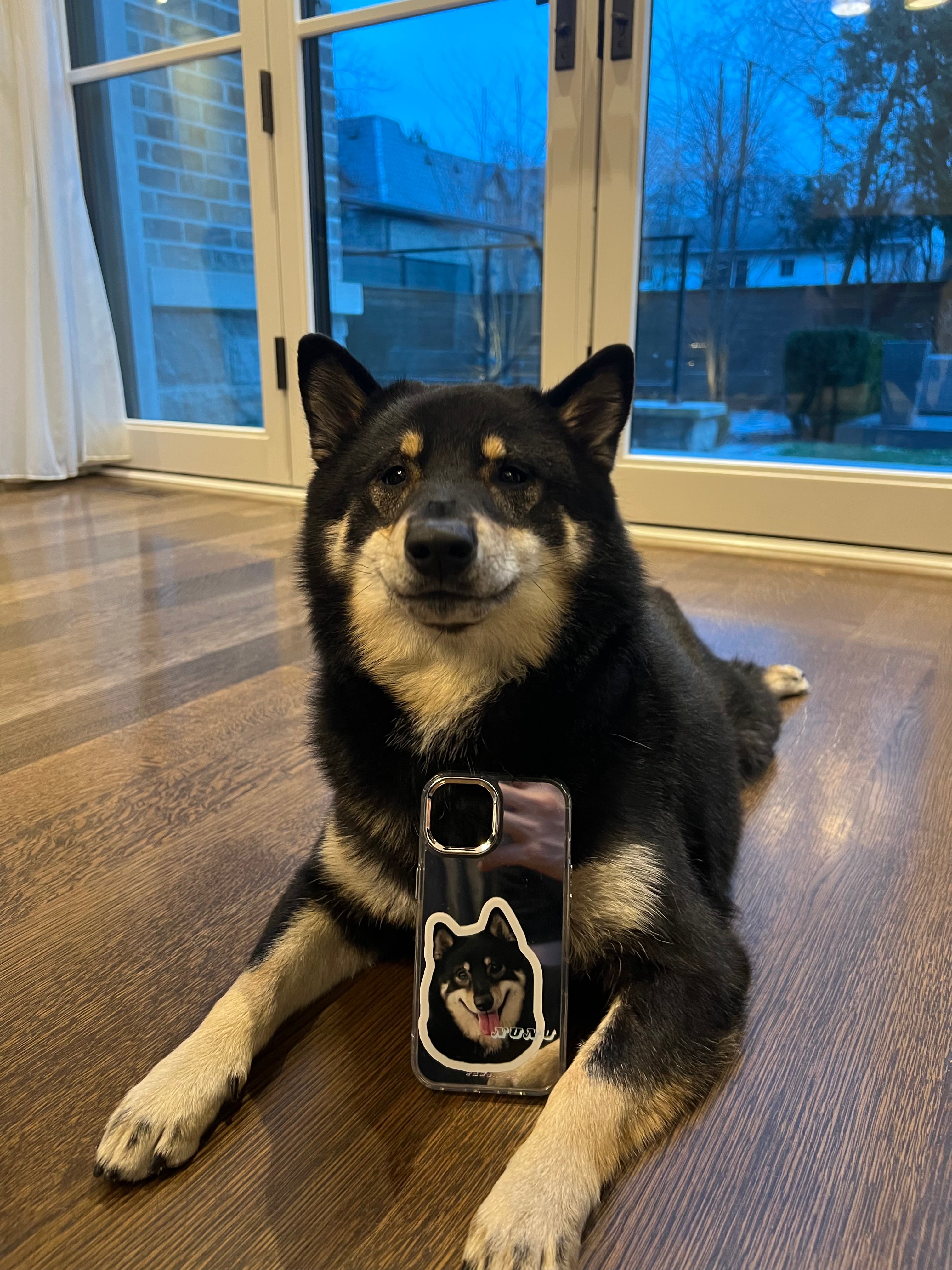 Customize Reflective Mirror Pet Phone Case