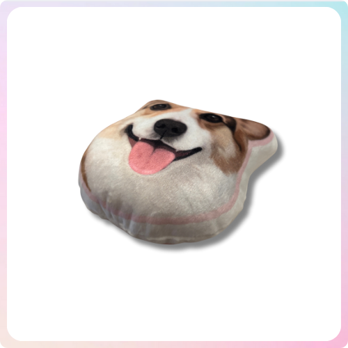 Pillow Love Charm