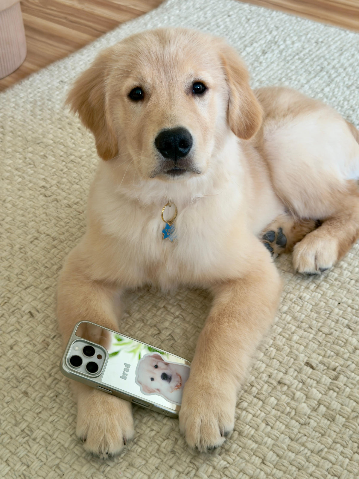 @bradleythegoldenboy