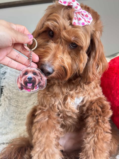 Customize Pet KeyChain