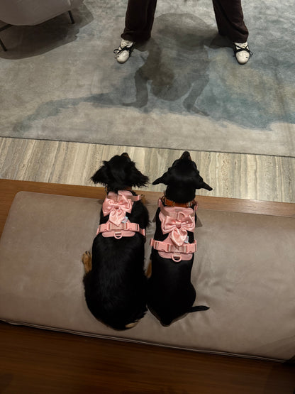 The Bowtique Harness