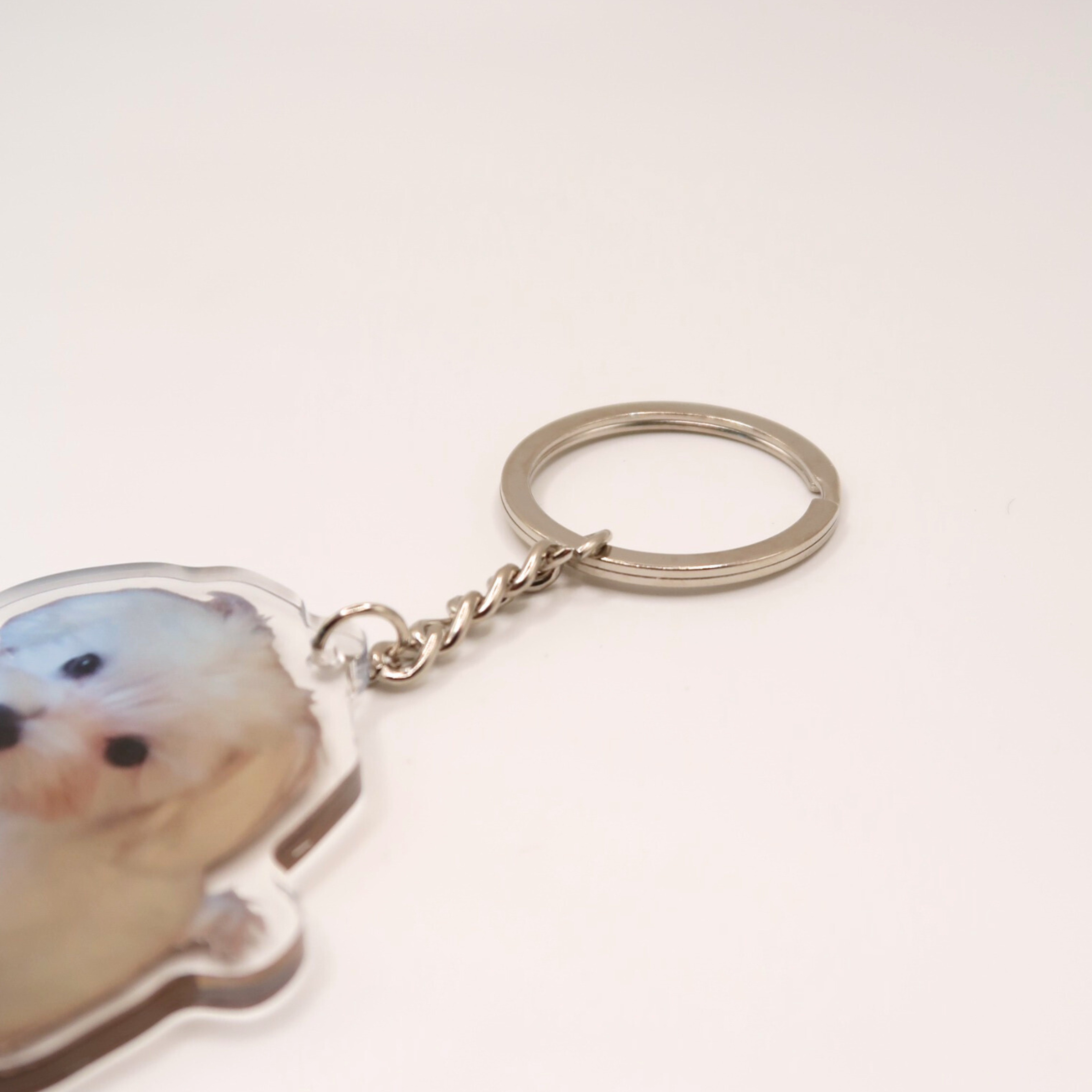 Customize Pet KeyChain