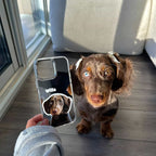 Customize Reflective Mirror Pet Phone Case