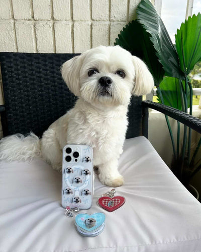 @lifeoftobi.luna