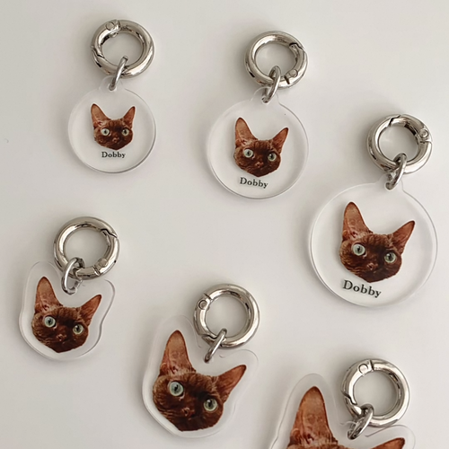 Customize pet collar tag 