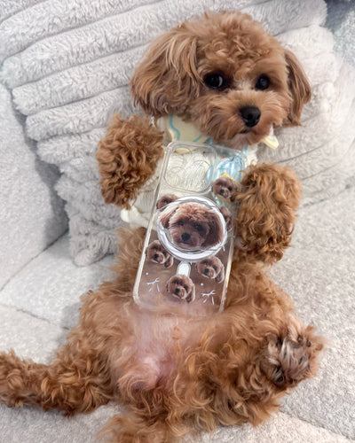 @gomithepup