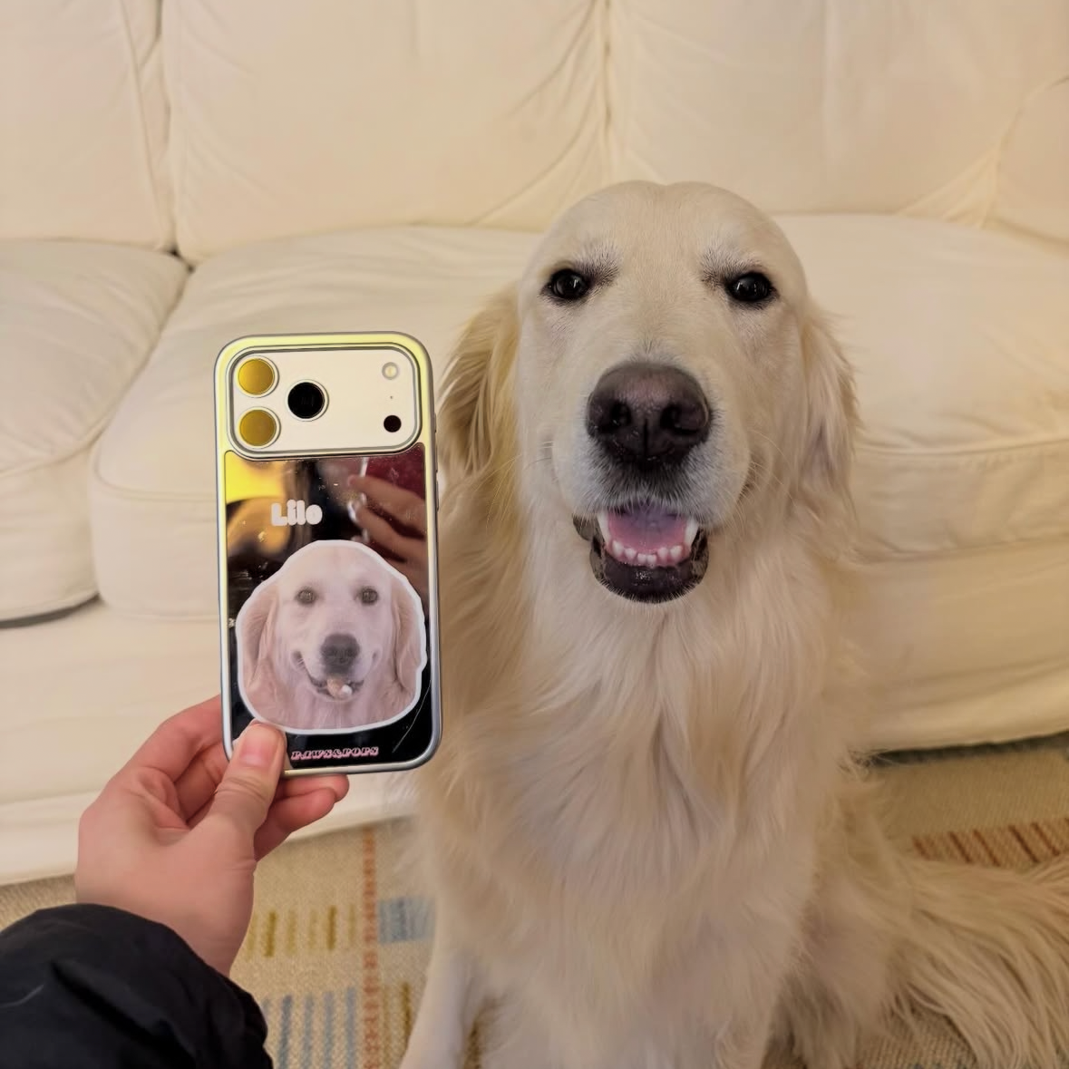 Dog sitting on a couch next to a phone displaying a photo of itself, with a hand holding the phone.