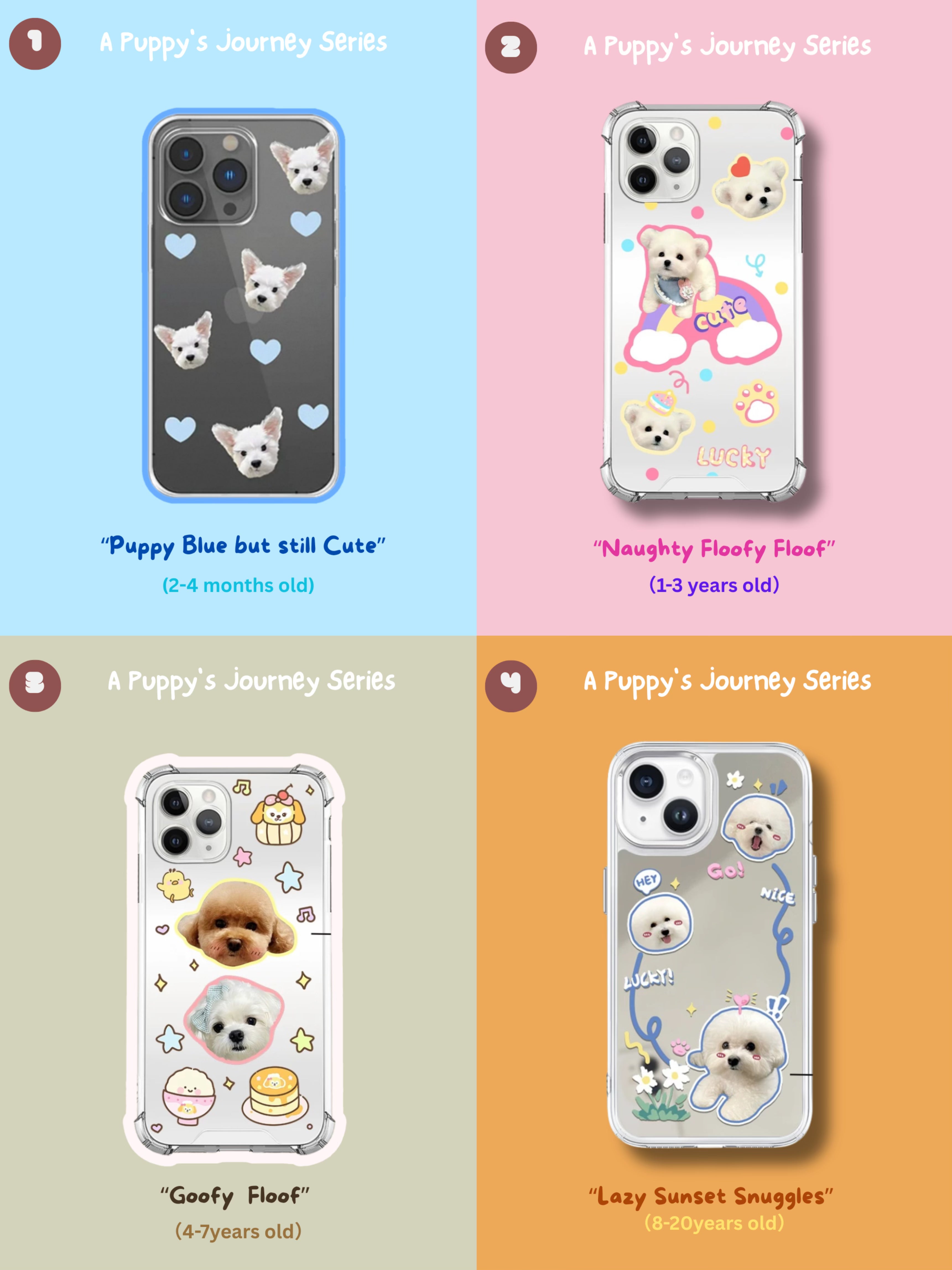[Combo Deal] Daisy Flower(3 Photos)+Pop-Socket
