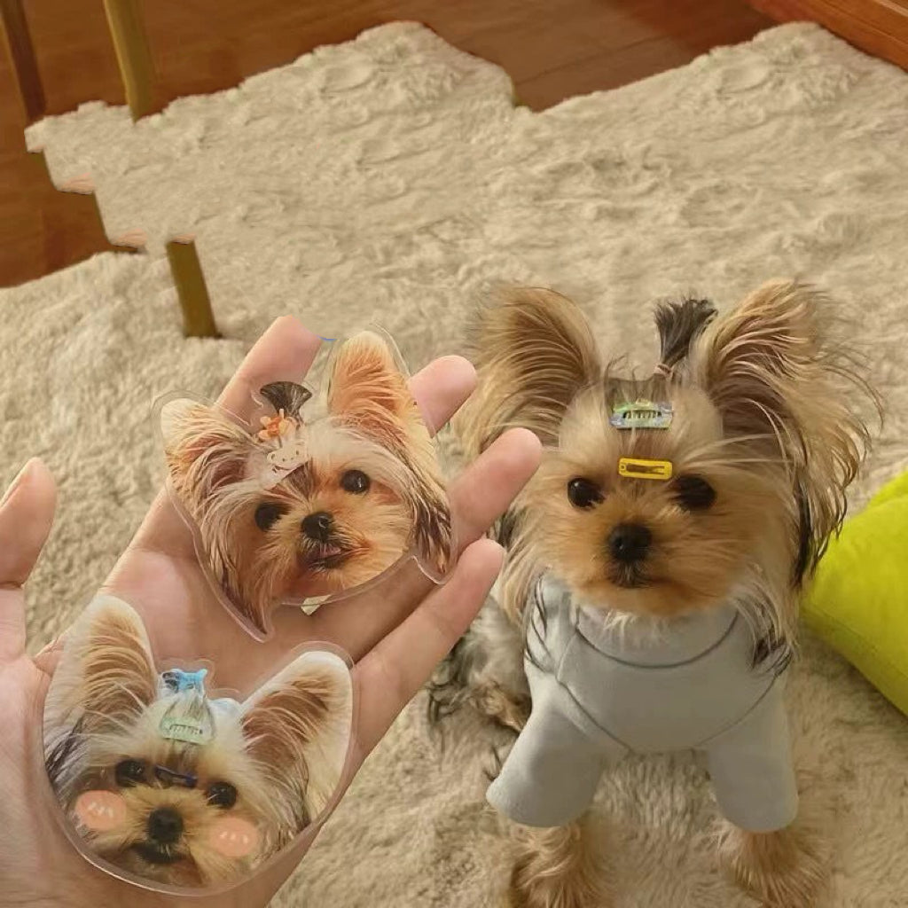 [Combo Deal] Puppy Blue(1 Photo)+Pop-Socket