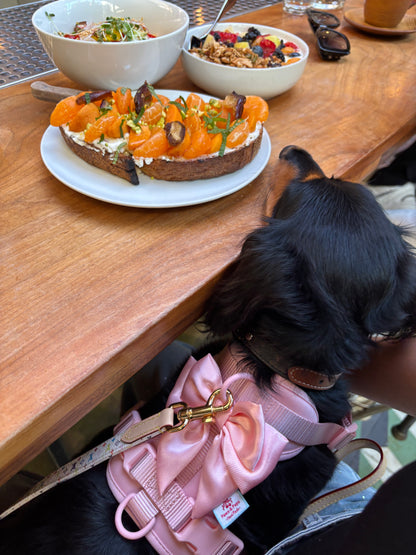 The Bowtique Harness