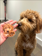 Customize Pet KeyChain