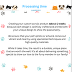 [Combo Deal] Daisy Flower(3 Photos)+Pop-Socket