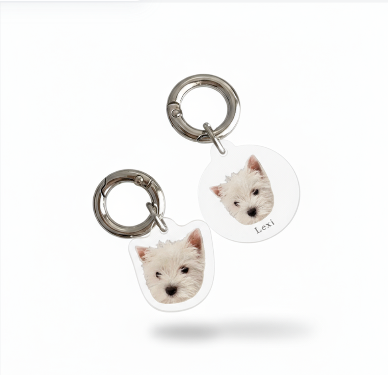 Custom Pet Collar ID Tag