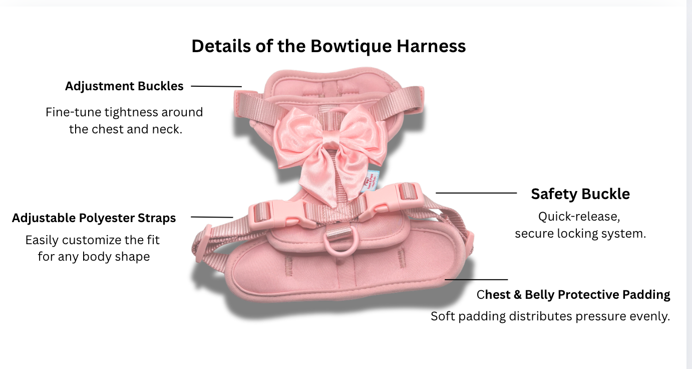 The Bowtique Harness