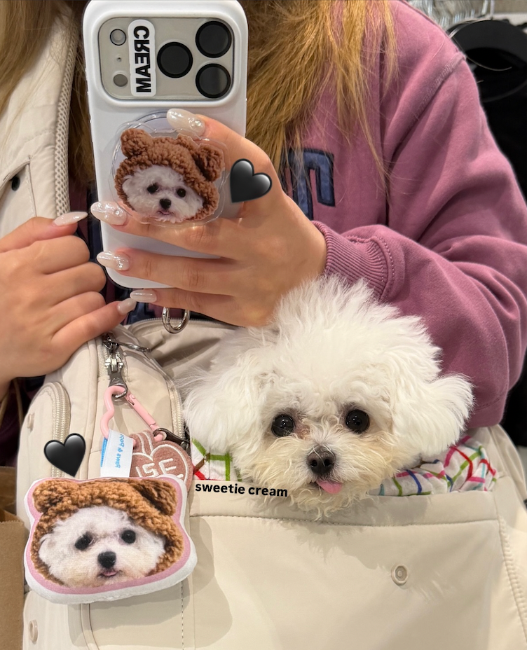 Custom Pet Pillow Charm